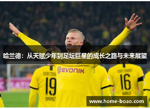 哈兰德：从天赋少年到足坛巨星的成长之路与未来展望