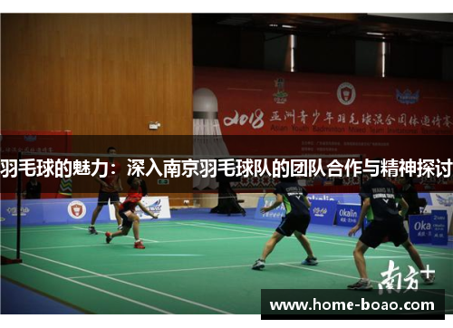 羽毛球的魅力：深入南京羽毛球队的团队合作与精神探讨