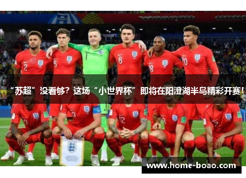 “苏超”没看够？这场“小世界杯”即将在阳澄湖半岛精彩开赛！
